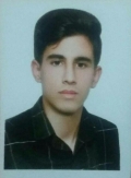 آقای امیرحسین شیخی شورابی