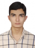 آقای محمد جواد فلاح مهرجردی
