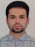 آقای سید حمید میرعلا