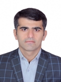 آقای سید جواد موسوی