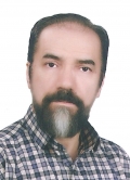 آقای وحیدرضا مددی