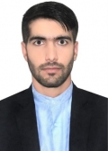 آقای میلاد پیروزه