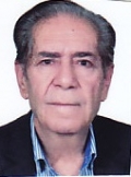 آقای حسین شیخی