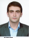 آقای هادی حسن زاده