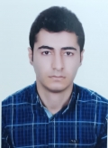 آقای سید محمدرضا حسینی علی آباد