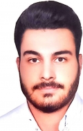آقای حامد موگویی