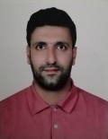 آقای مجتبی کنگاور نظری